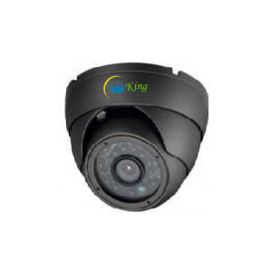 5Caméra de vidéosurveillance MP HK-S250-(P)(UNE)-GC